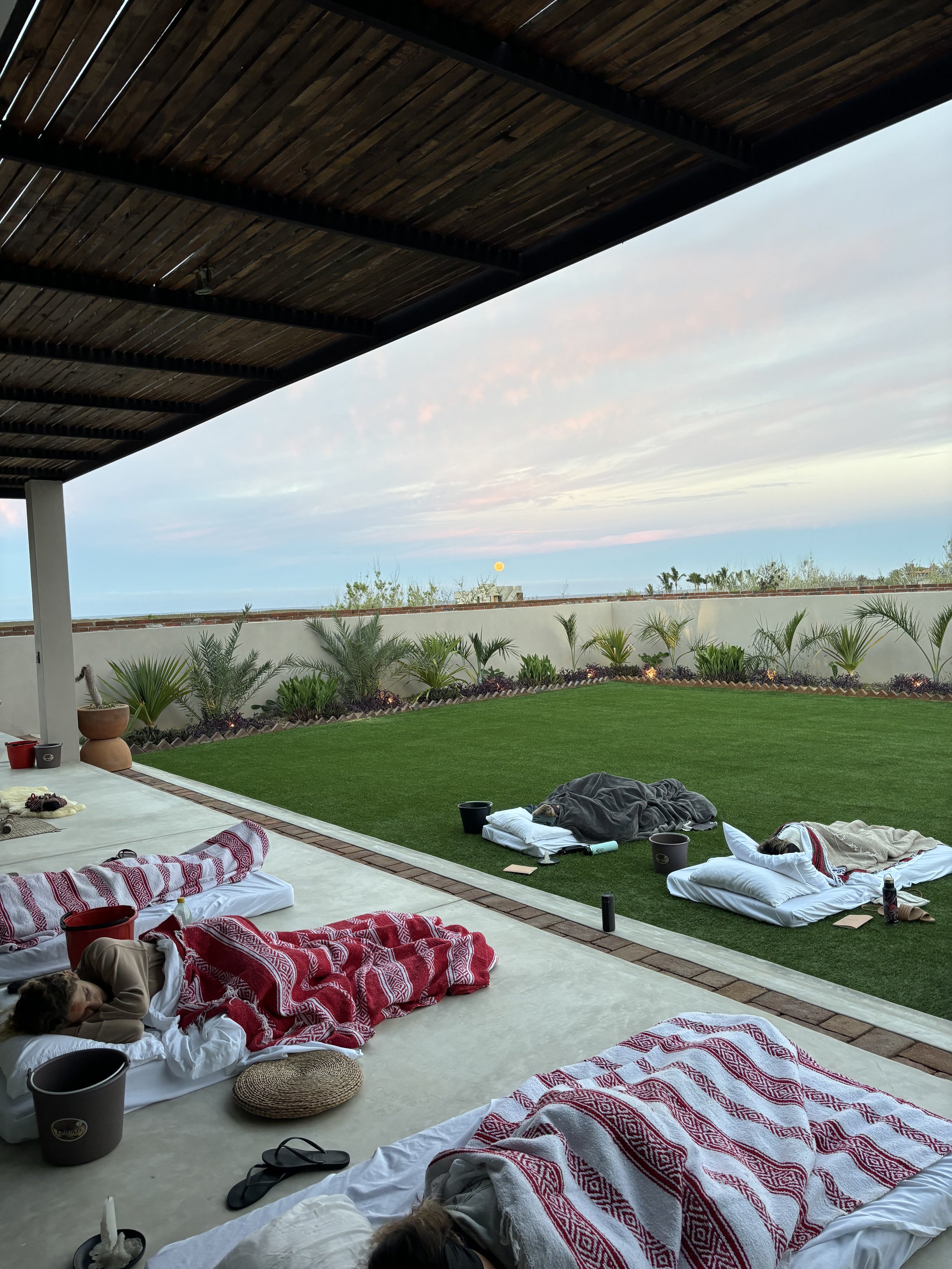 People sleeping on mattresses and blankets on a patio with a grassy yard, potted plants, and a sunset sky.