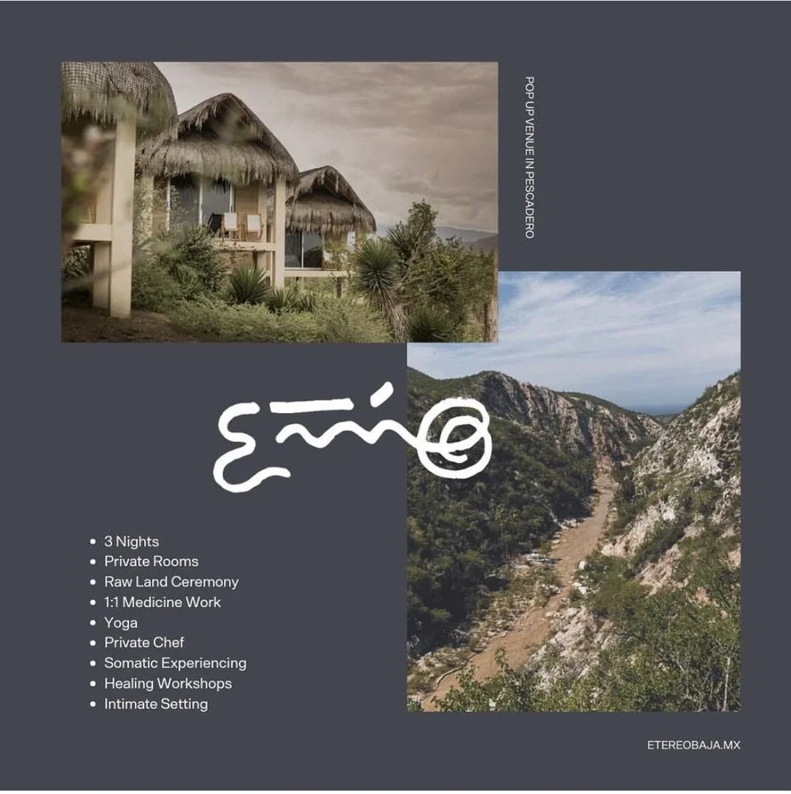 Brochure for a retreat in Etereo Baja featuring images of thatched-roof huts and a mountainous landscape. Text includes details about 3 nights, private rooms, raw land ceremony, medicine work, yoga, private chef, somatic experiencing, healing workshops, and an intimate setting.