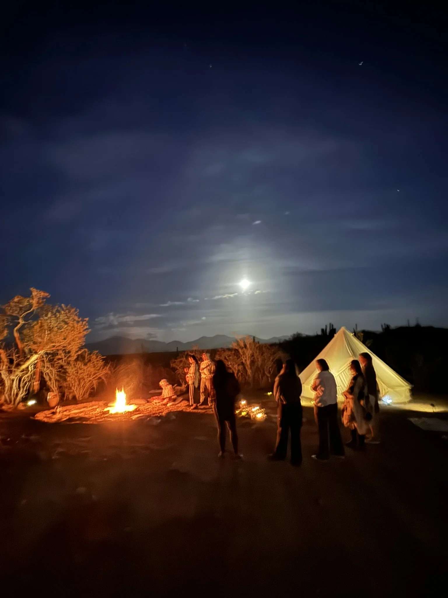 Group of people gathered around a campfire at night with tents and trees, moon and stars visible in the sky.