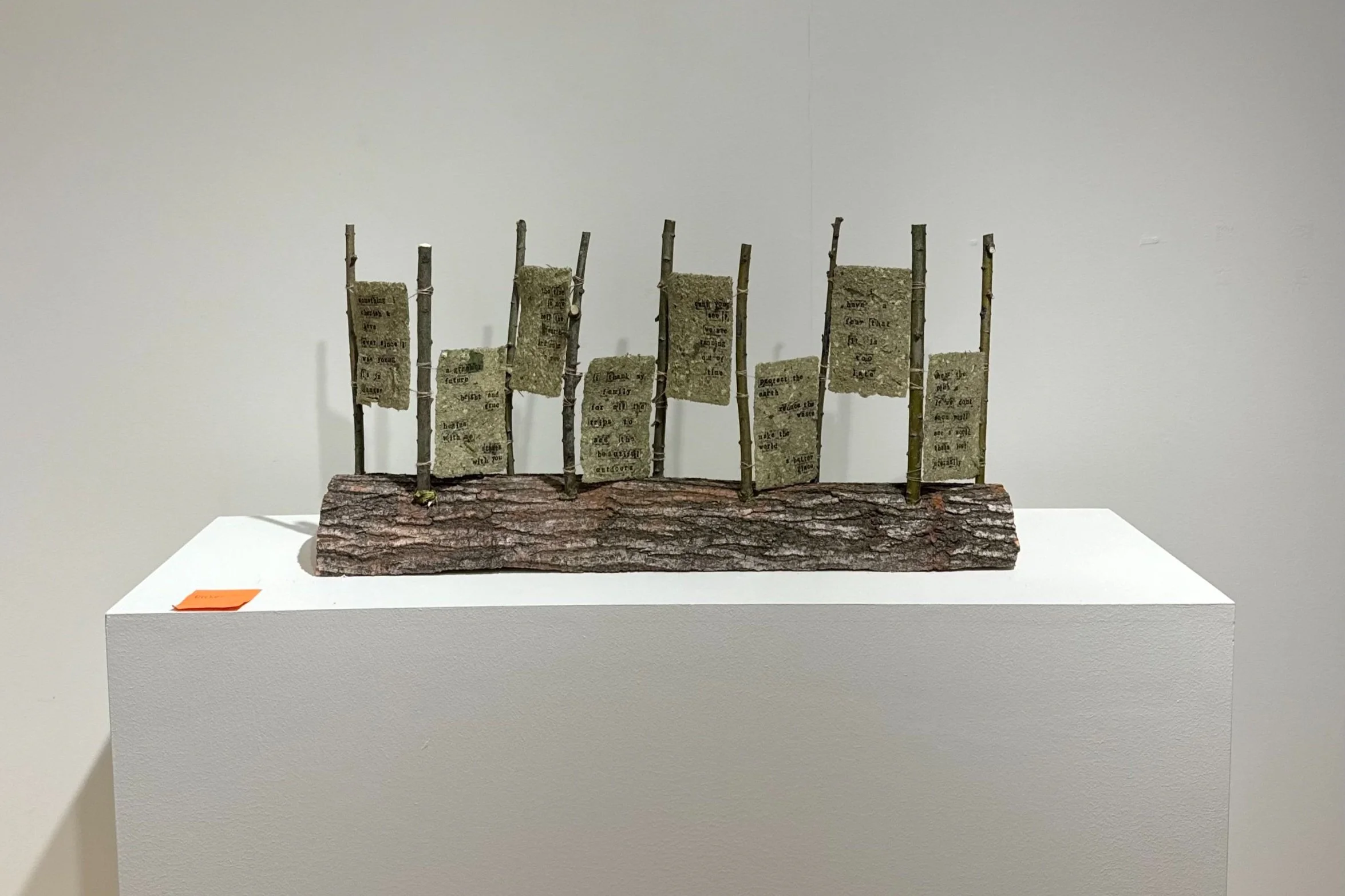 a soft collapse, final project