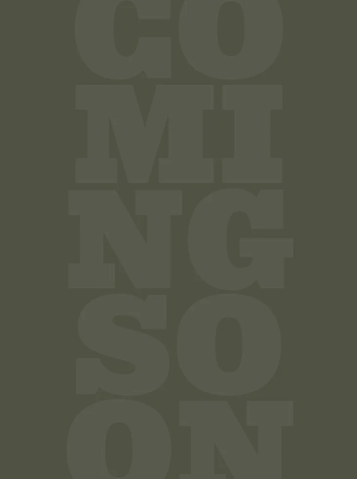 A field of white daisies with yellow centers bathed in warm sunlight