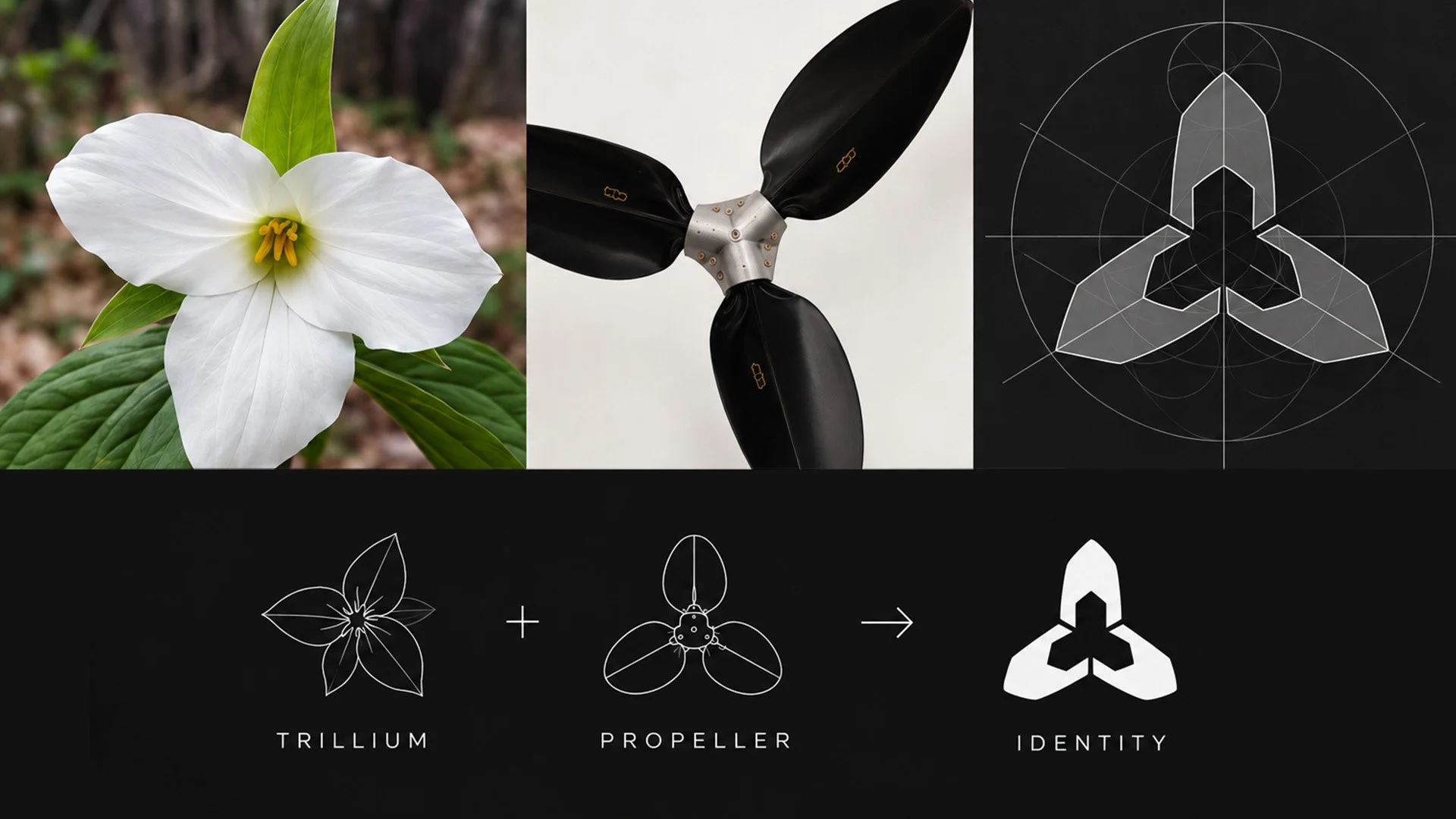 Trillium_4.jpg