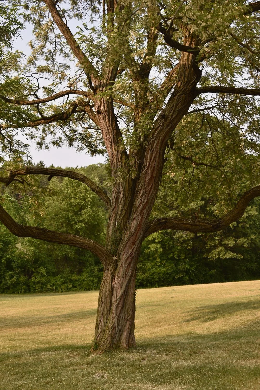 DSC_0735 2.jpg