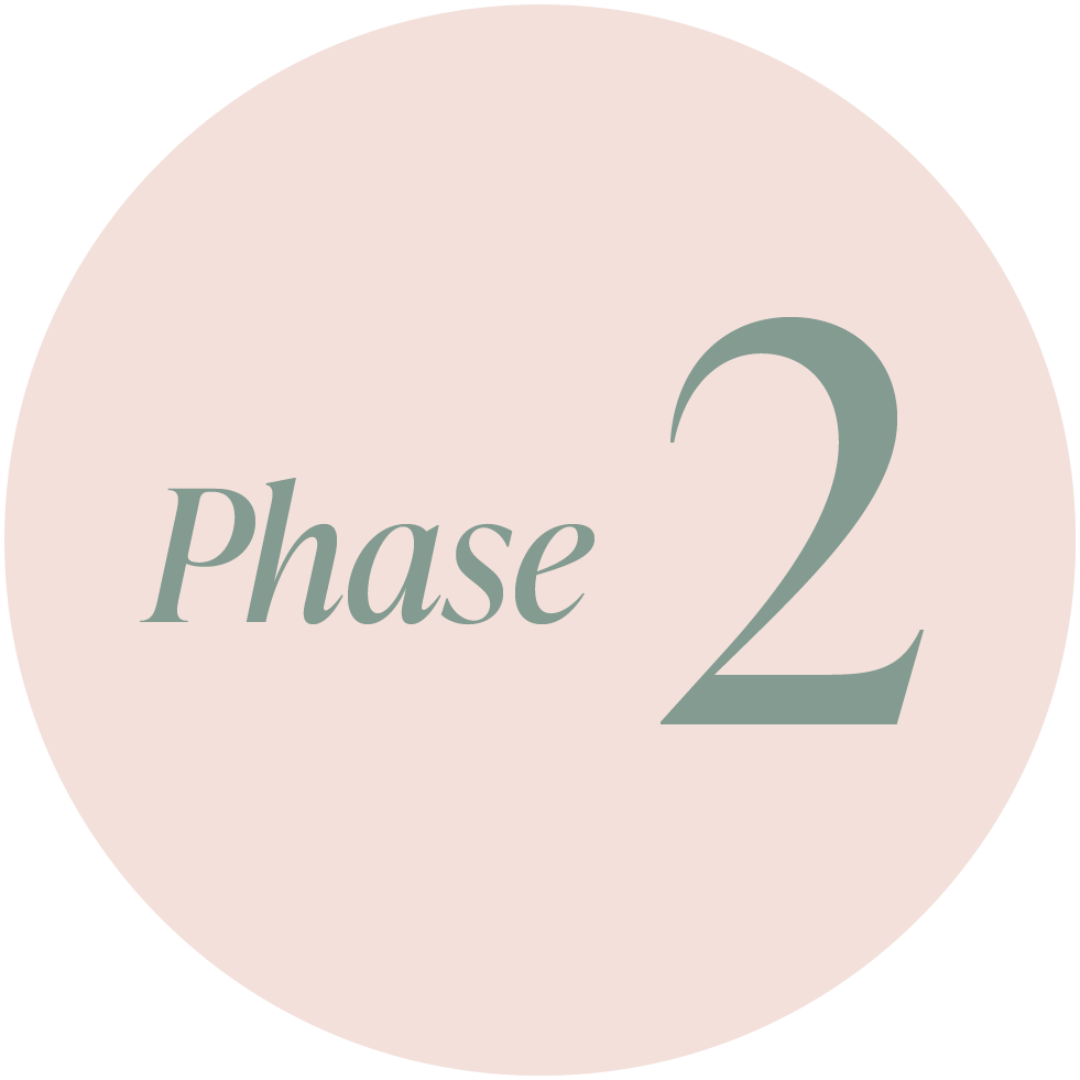 A light pink circle with the words 'Phase 2' written in large, gray text inside