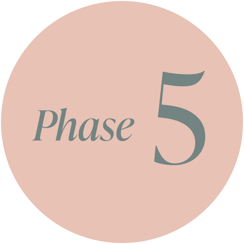 A round graphic with a soft pink background that displays the words "Phase 5" in large gray font, with "Phase" in cursive and "5" in bold.