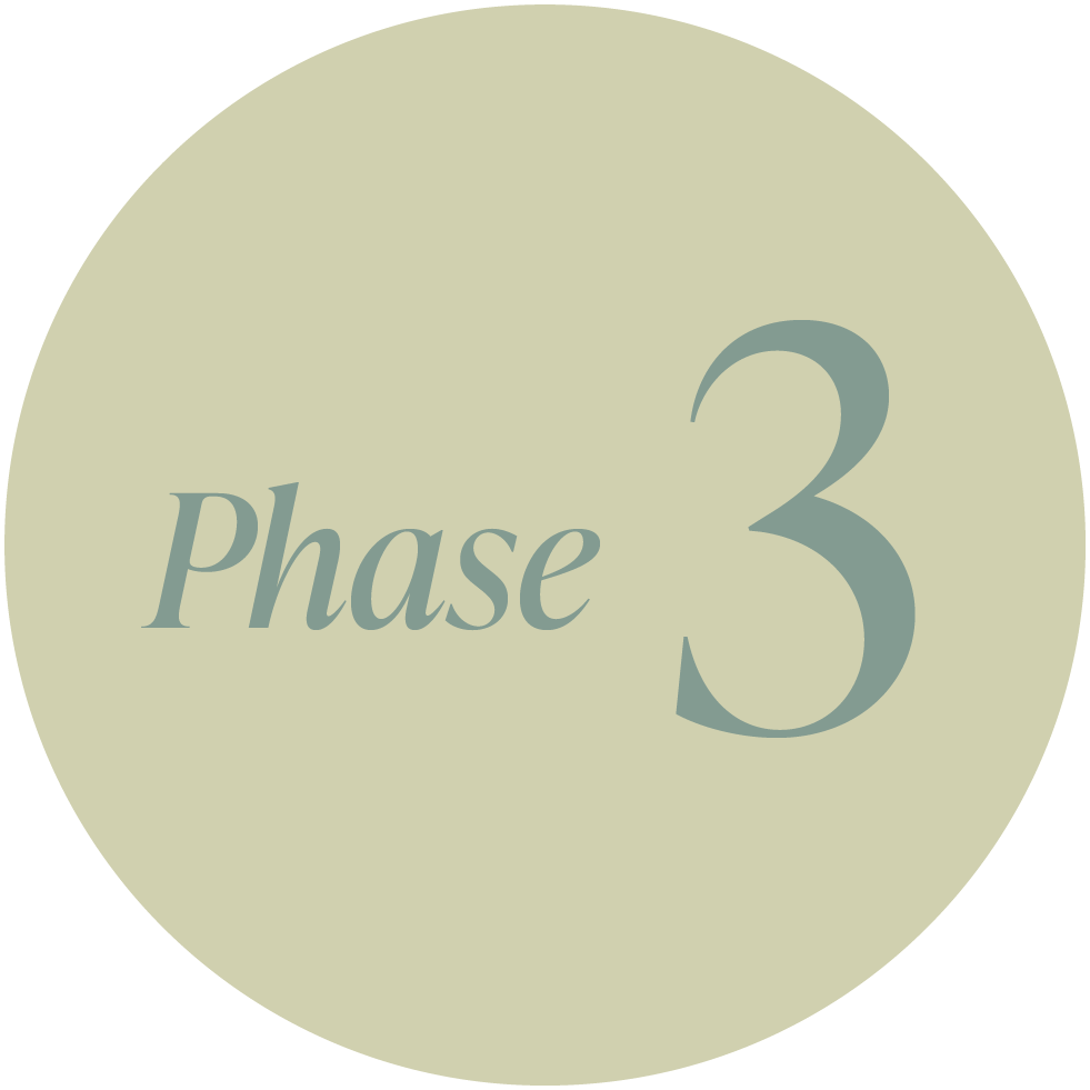 A light green circle with the words 'Phase 3' written inside in large gray text and 'Phase' in smaller gray text.