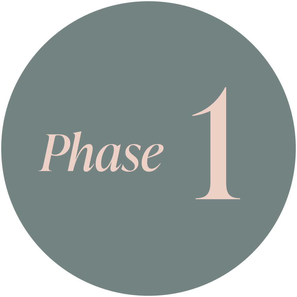 A circular graphic with a gray background displaying the word 'Phase' in cursive font and the number '1' in large font, indicating the first phase of a process or plan.