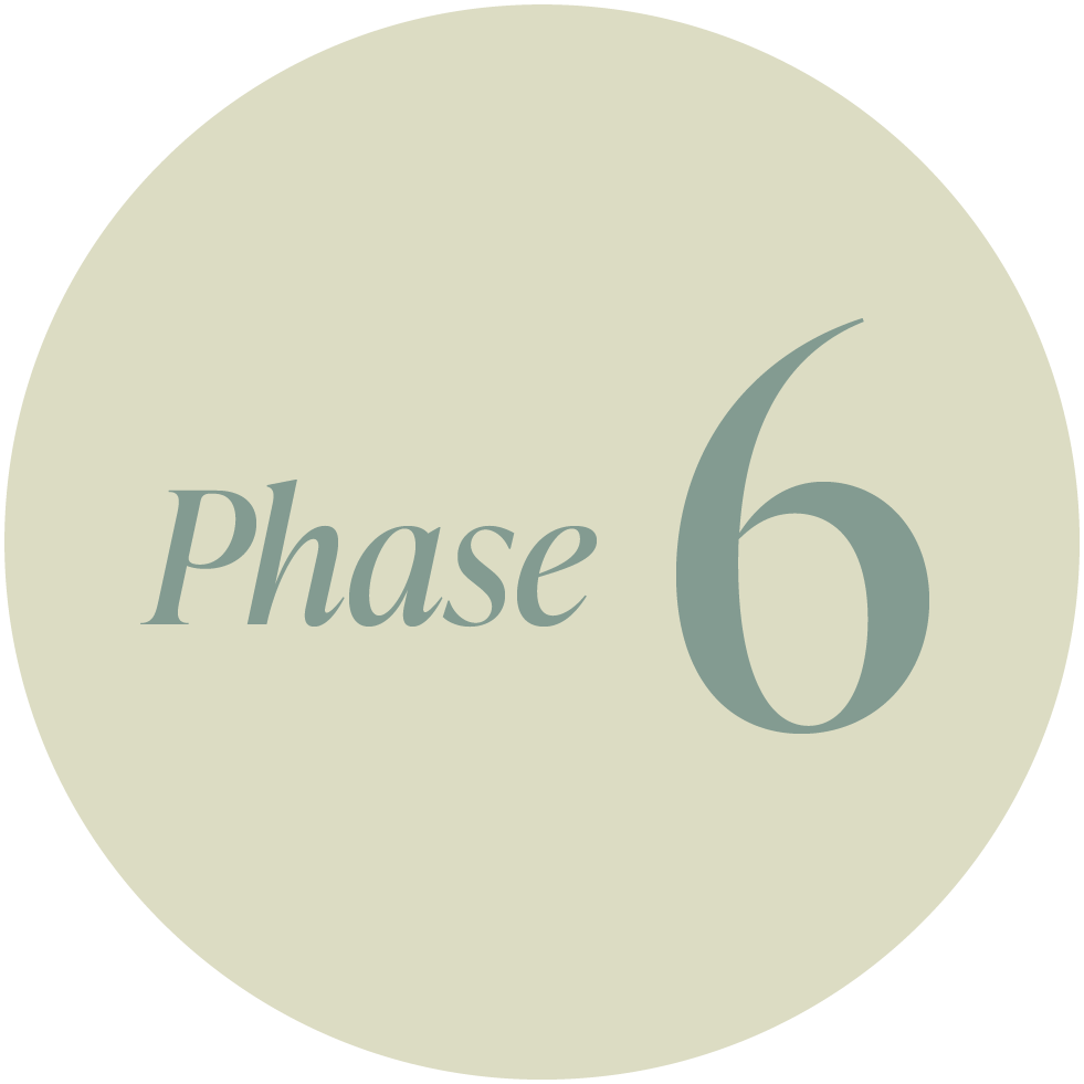 A circular graphic with a beige background containing the text 'Phase 6' in gray, italicized font, indicating a stage or step in a process.