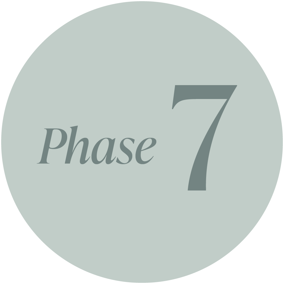 A light gray circular graphic with the words "Phase 7" written inside, with "Phase" in smaller italics and "7" in larger bold font.