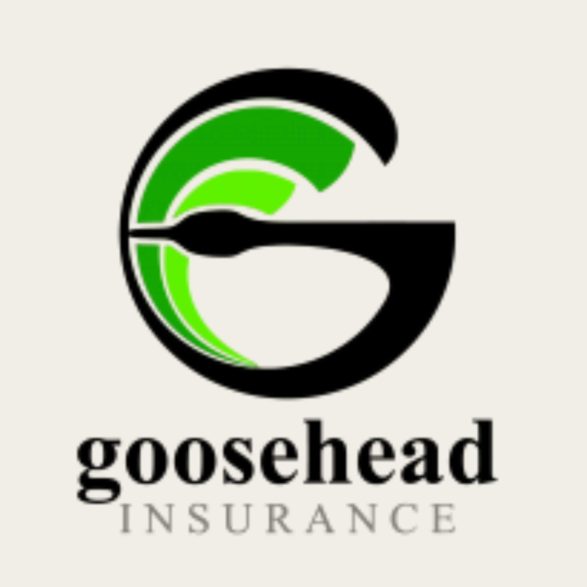 Goosehead Insurance agency in Milton Florida offering home and property insurance solutions