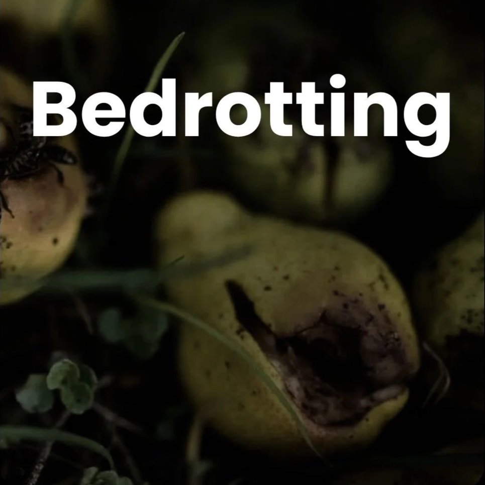 Bedrotting