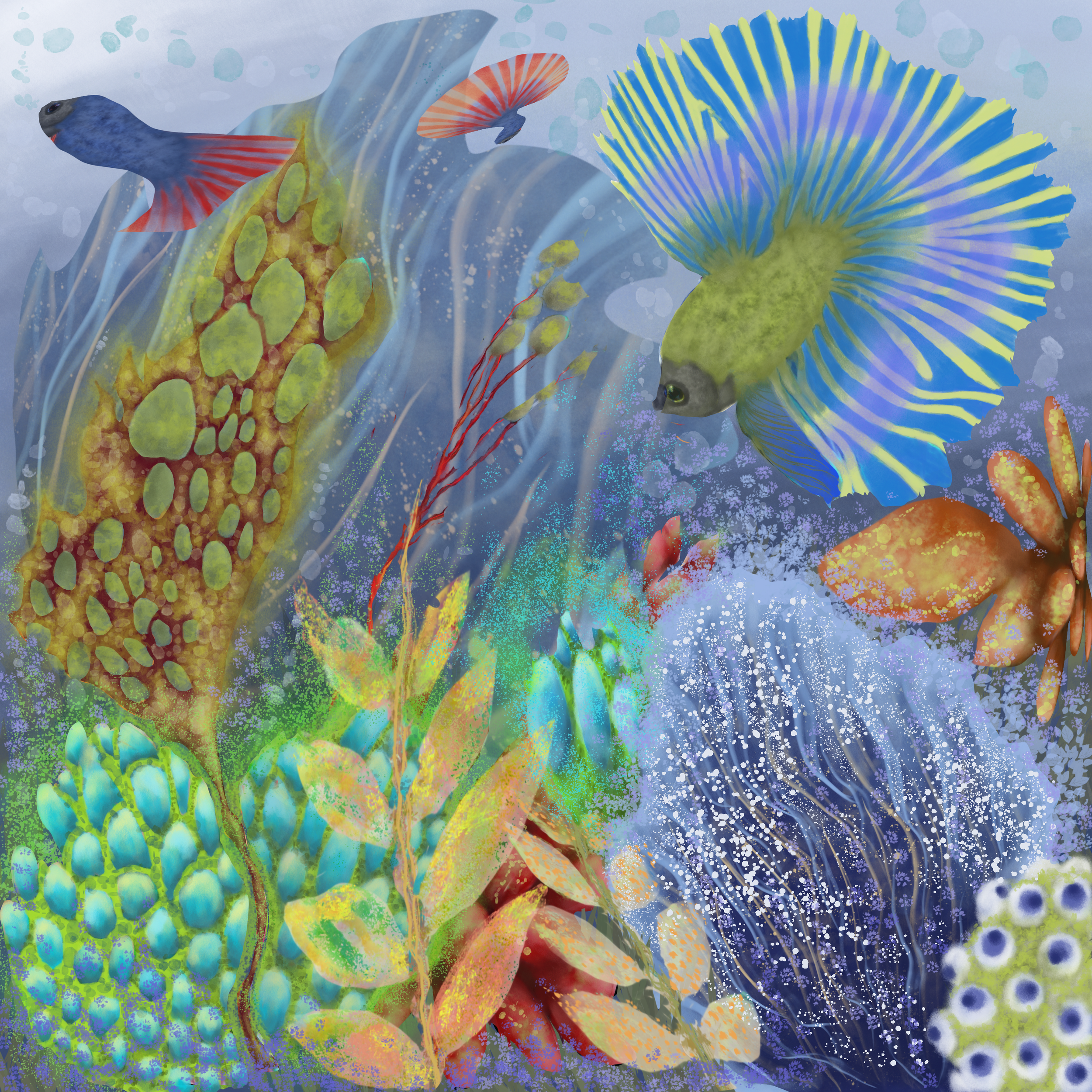 The Fishes the Leaves on the Rocks and Reefs