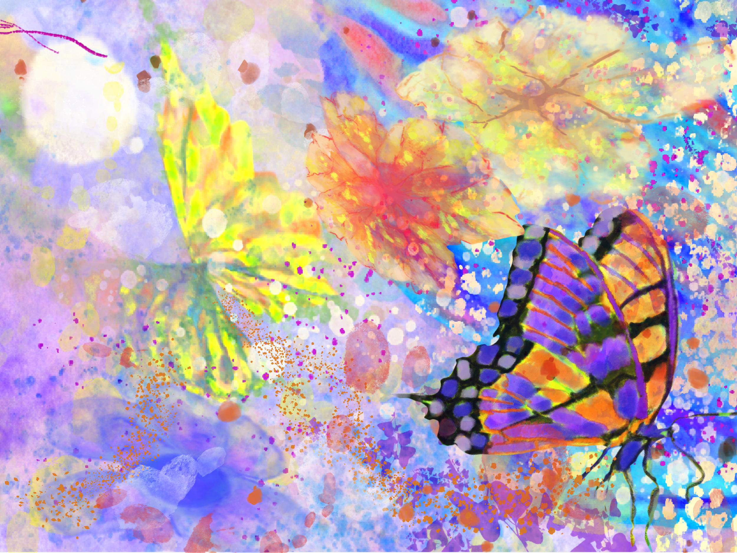 Butterfly’s Spring