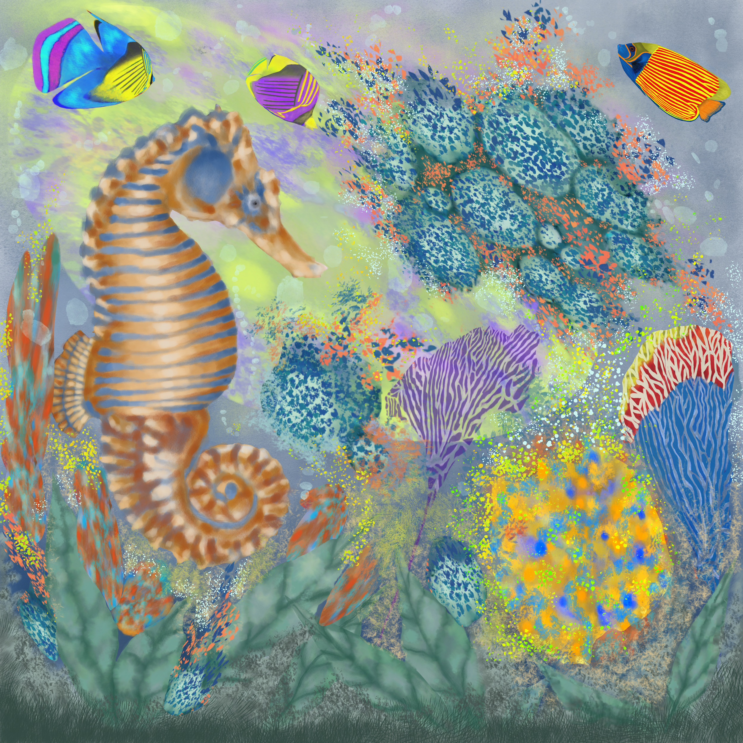 Sea Horse and the Teal Reefs