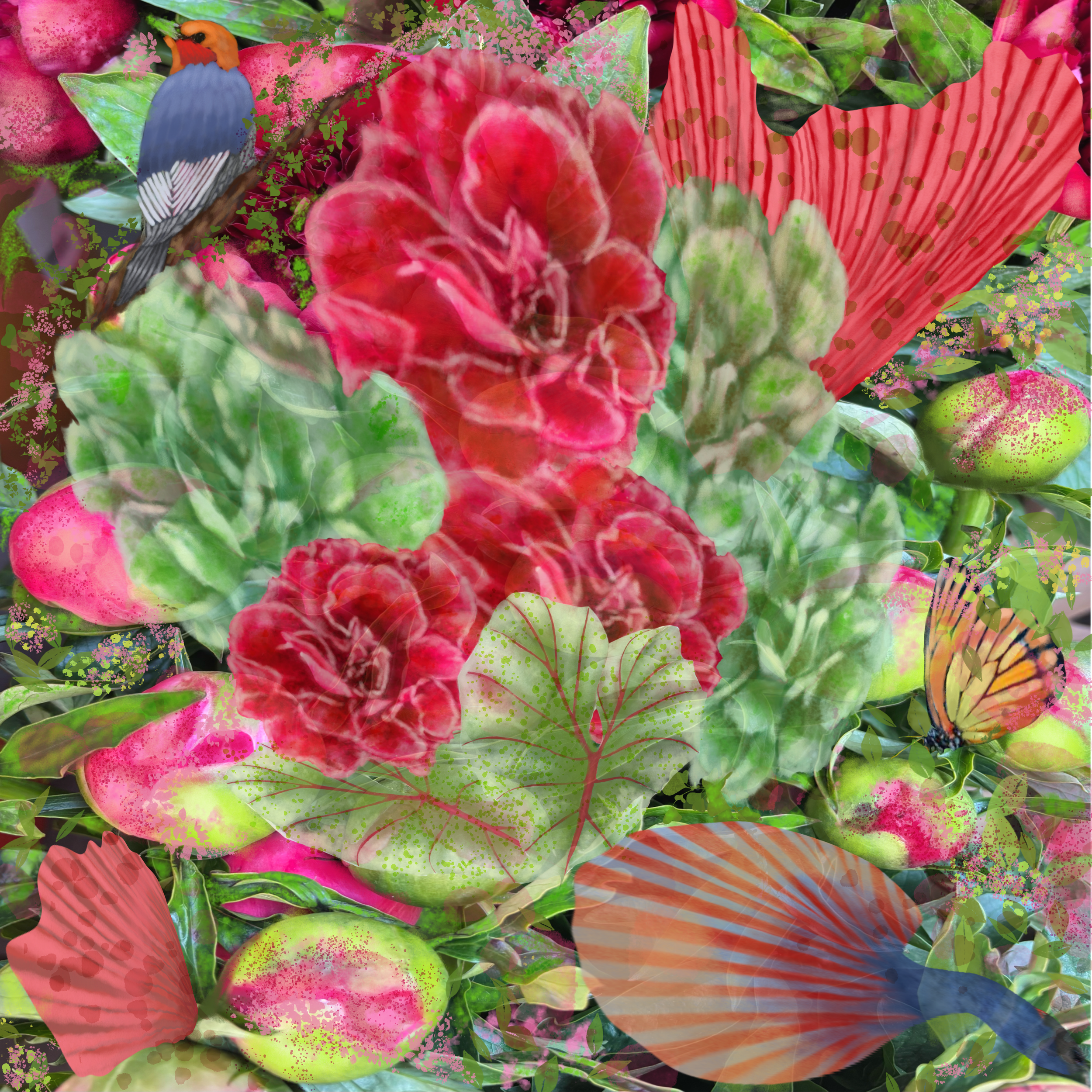 Deep Red Blooming and the Butterfly