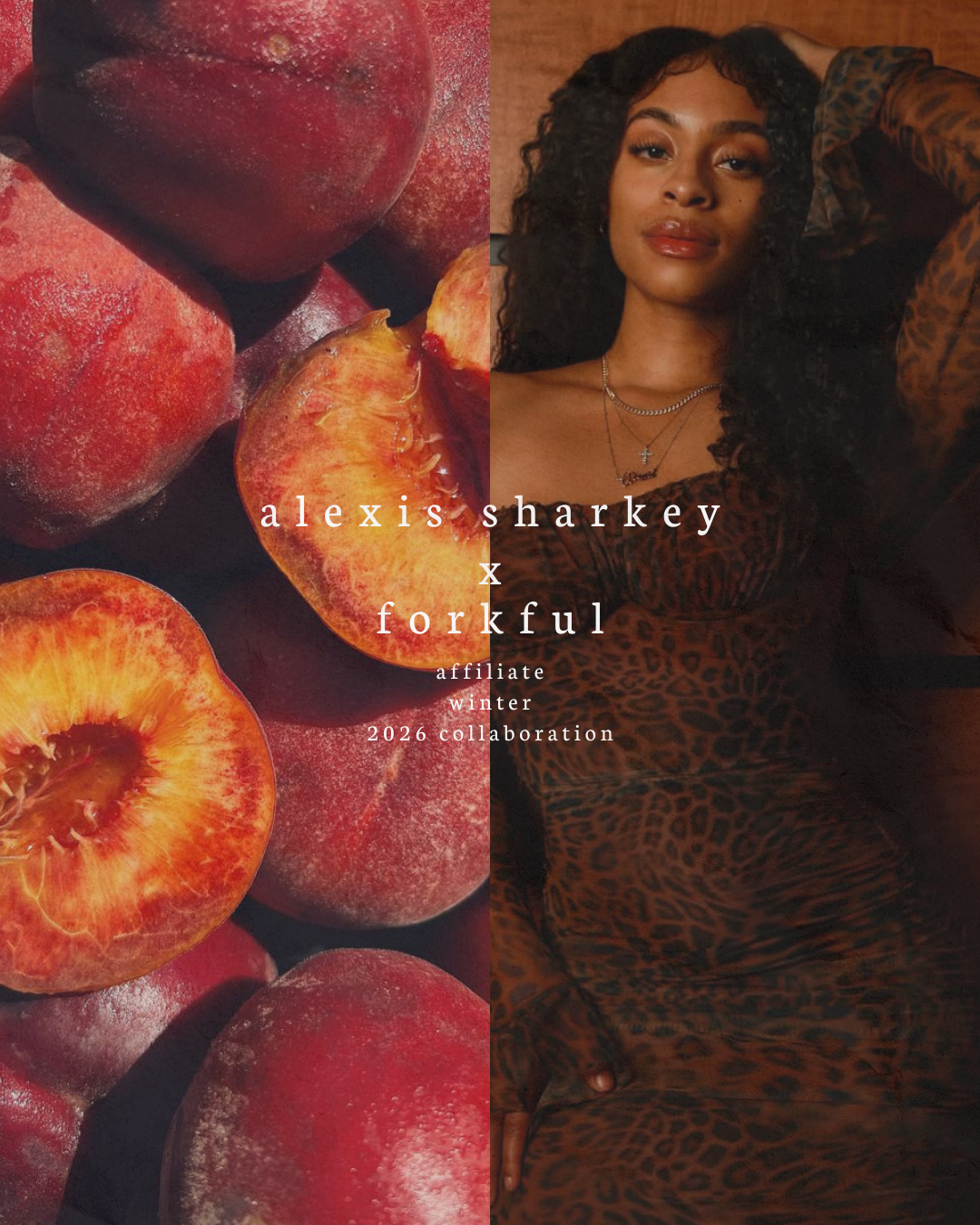 affiliate-marketing-agency