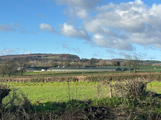 Residents Raise Concerns Over Plans to Expand Intensive Poultry Unit Near Shirenewton