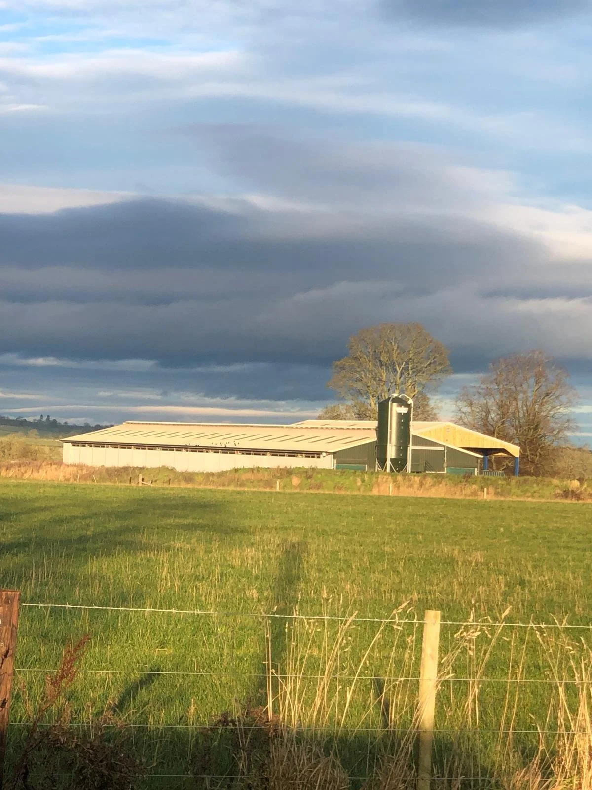 Residents Concerned over Plans to Double Size of Intensive Pig Farm