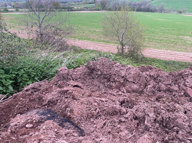 Alleged Illegal Calf Burial Discovered at Polluting Intensive Dairy Farm Seeking to Expand