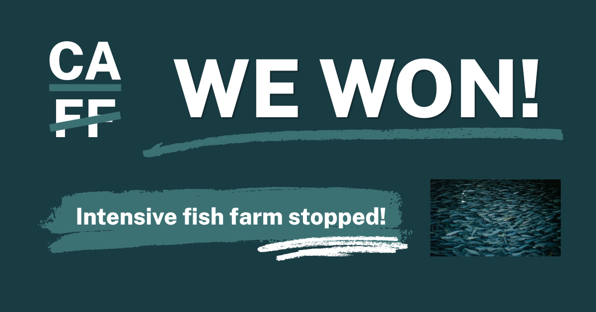 Council Agrees to Overturn Plan for Inland Salmon Farm Following Legal Challenge