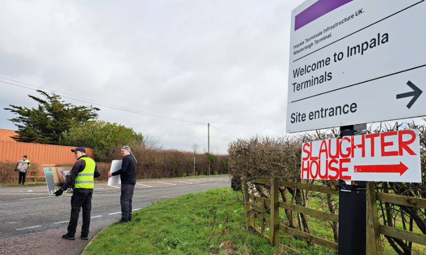 Locals in Gloucestershire campaigning against the expansion of Westerleigh Abattoir, a pig gas chamber. 