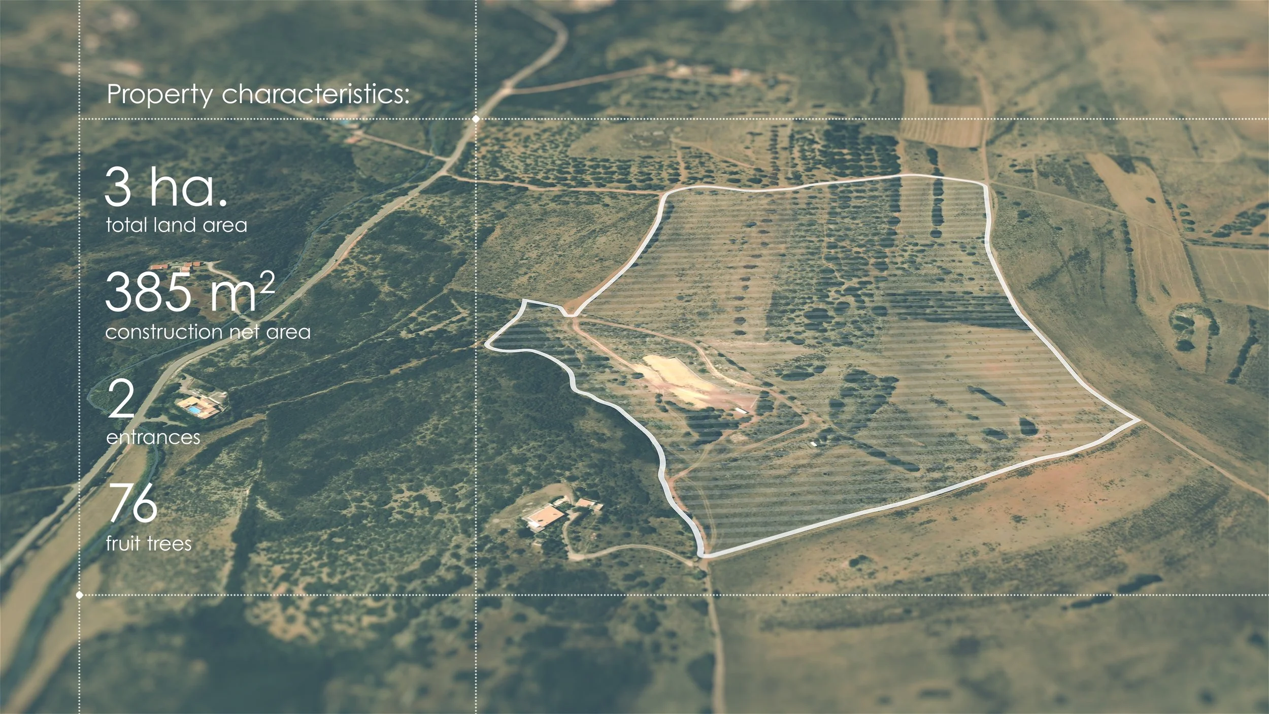 P3_Main_07 (0-00-25-02).jpg