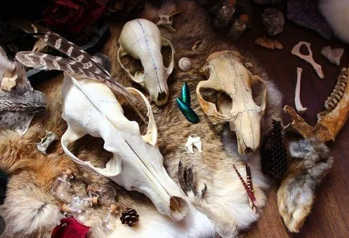 TWRA Pelts &amp; Bones Program