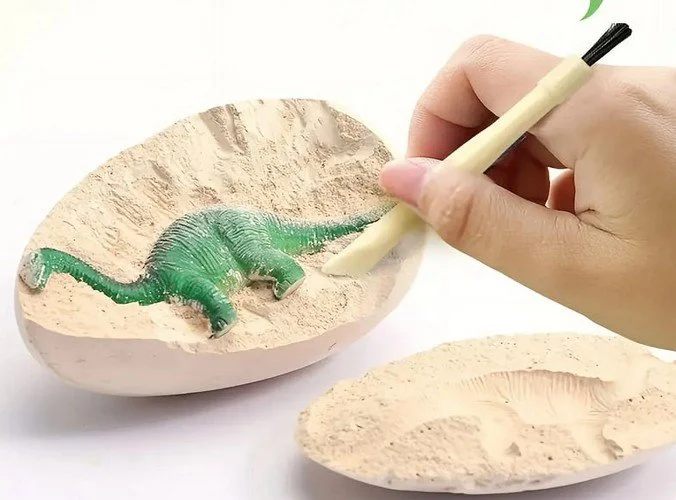 🦖🥚 Dino Egg Discovery! 🥚🦖