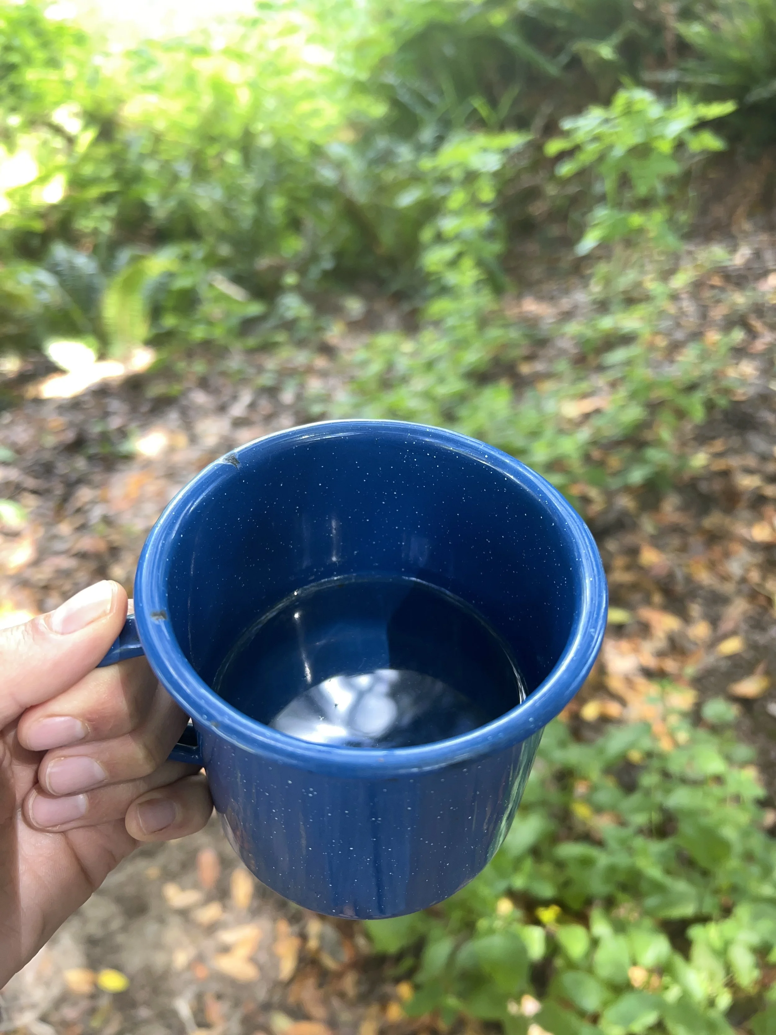 Yielding, as water