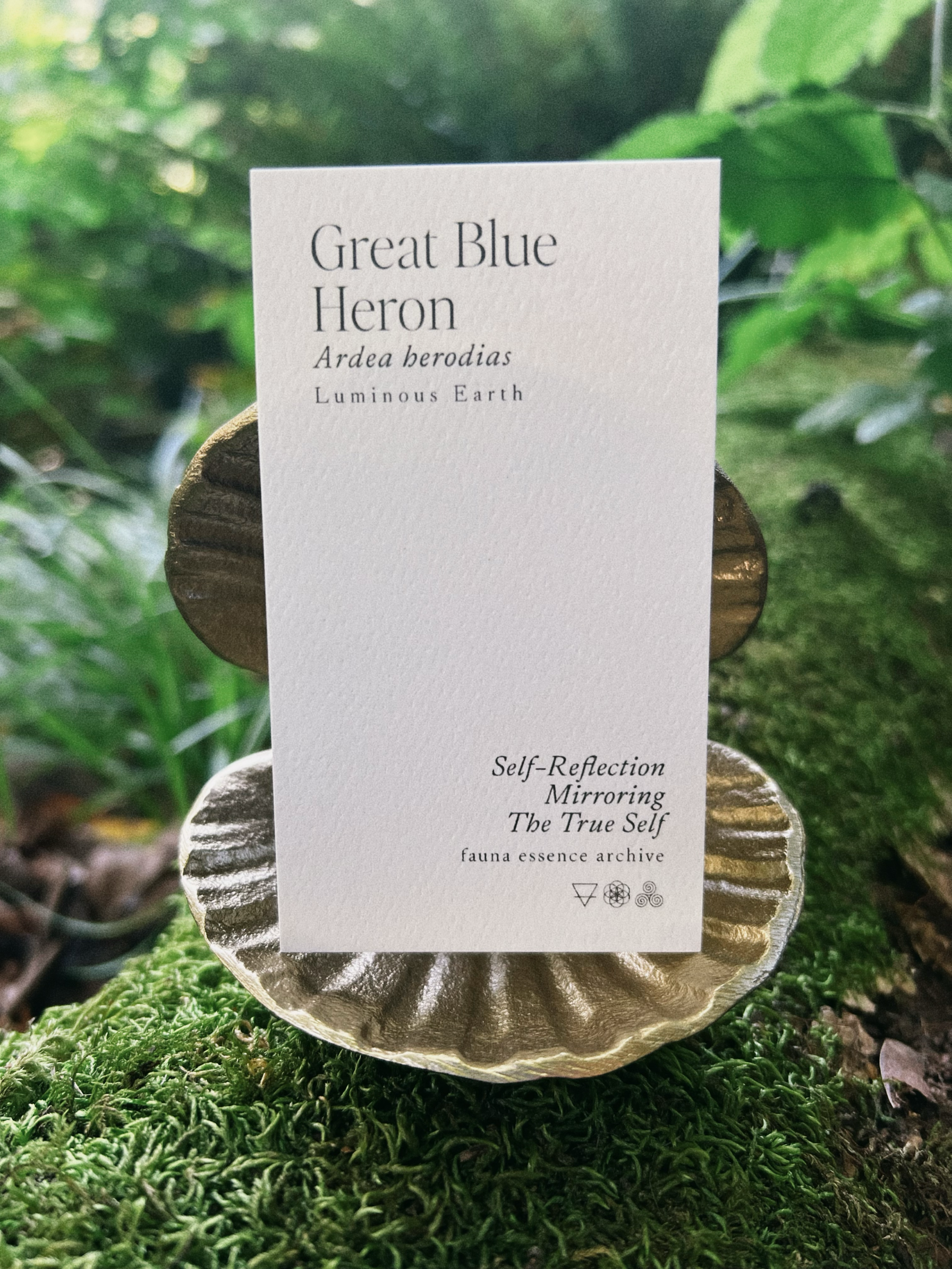 Heron_card.png