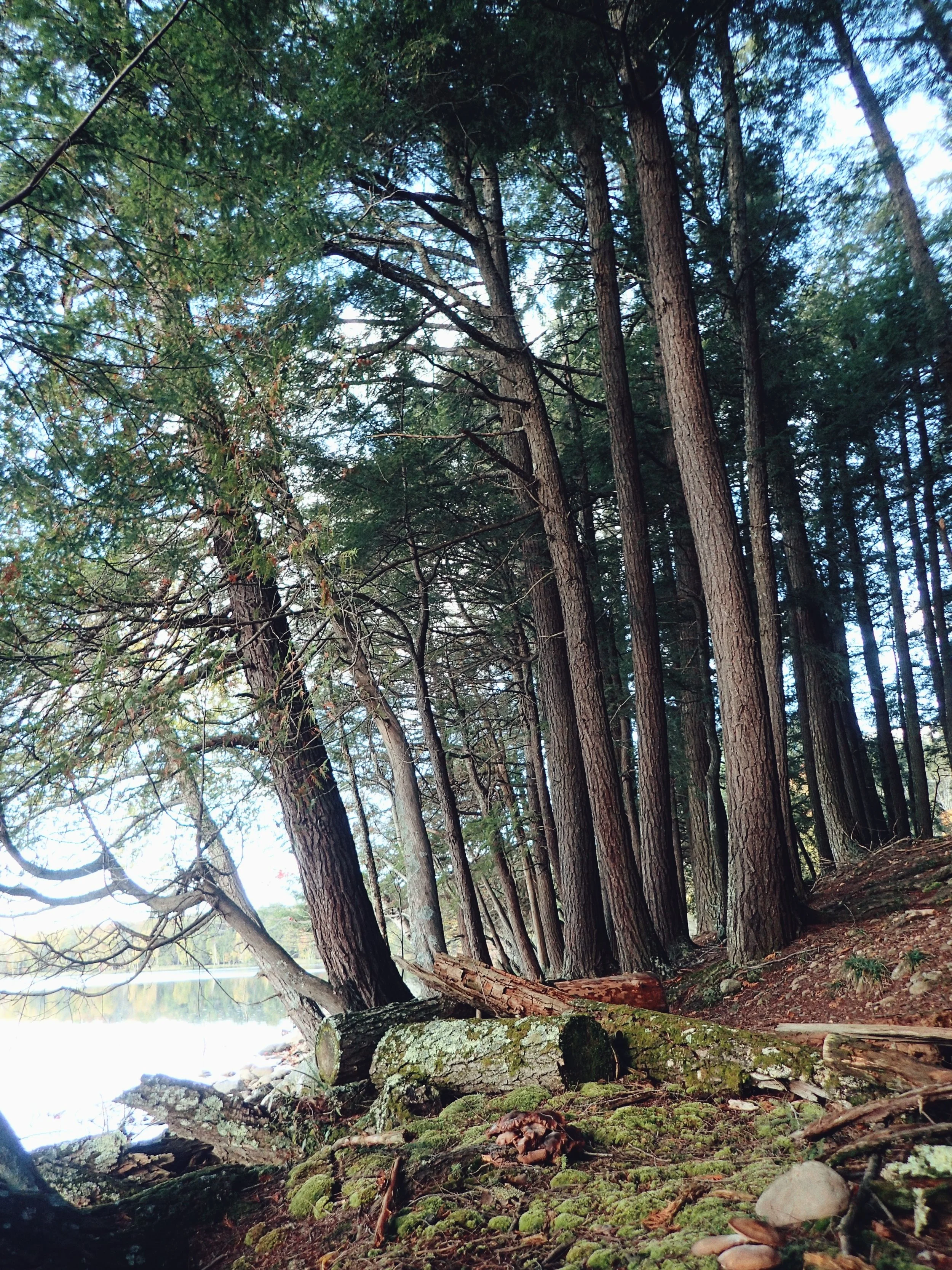 PA051761.JPG