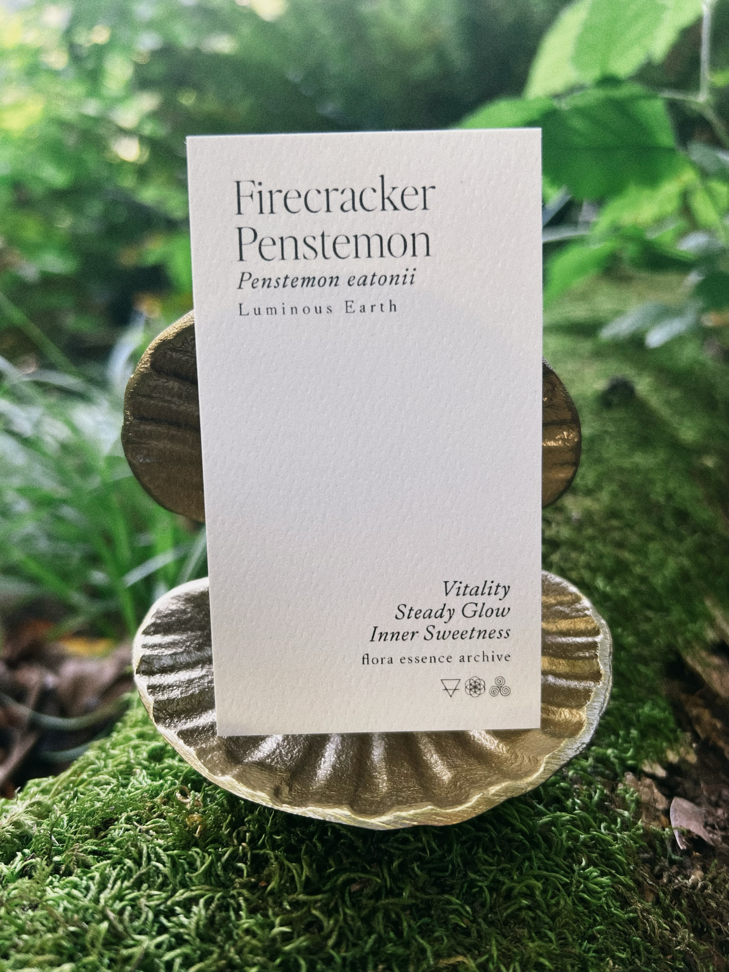 Penstemon_card.png