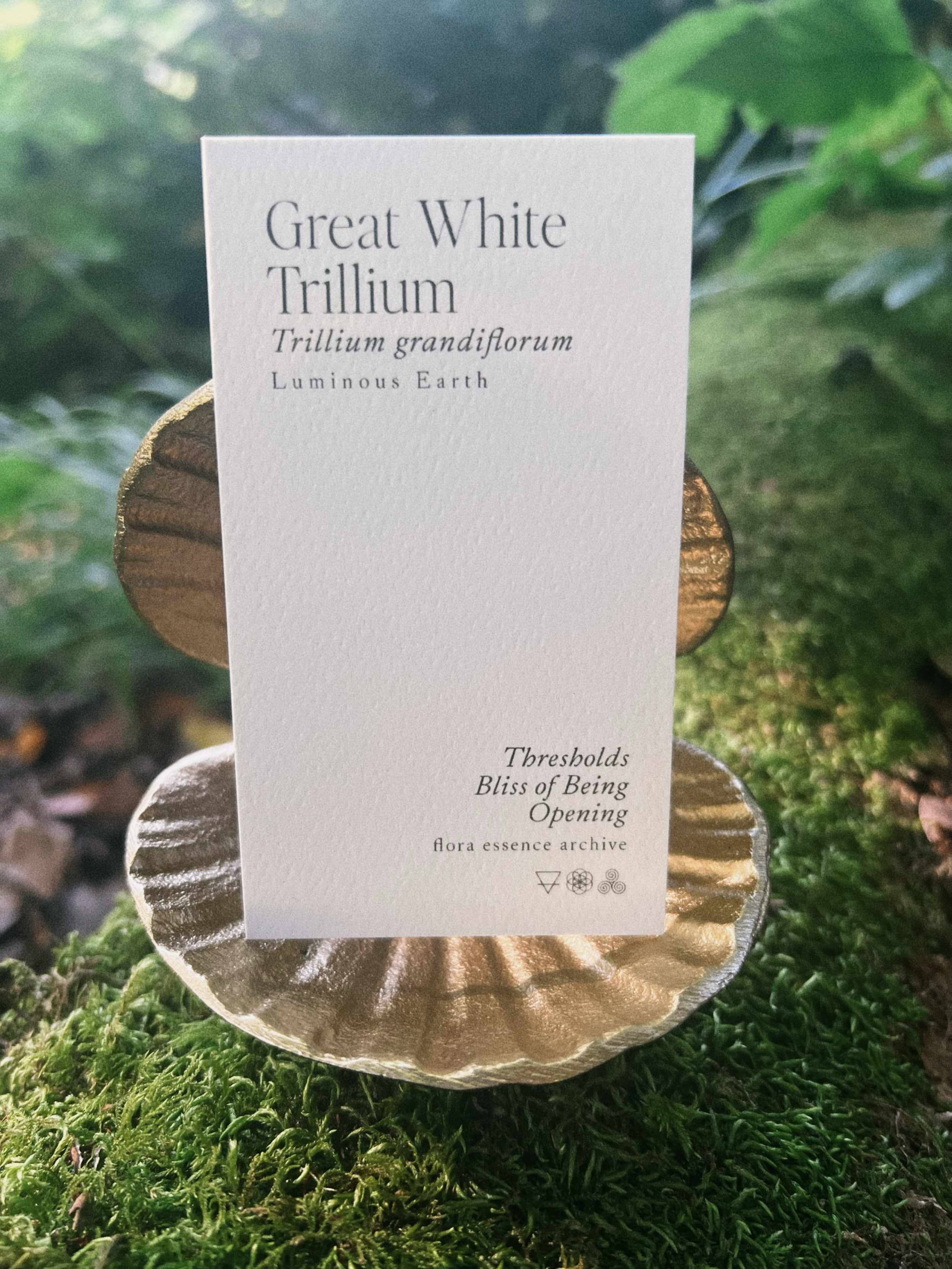 Trillium_card.png