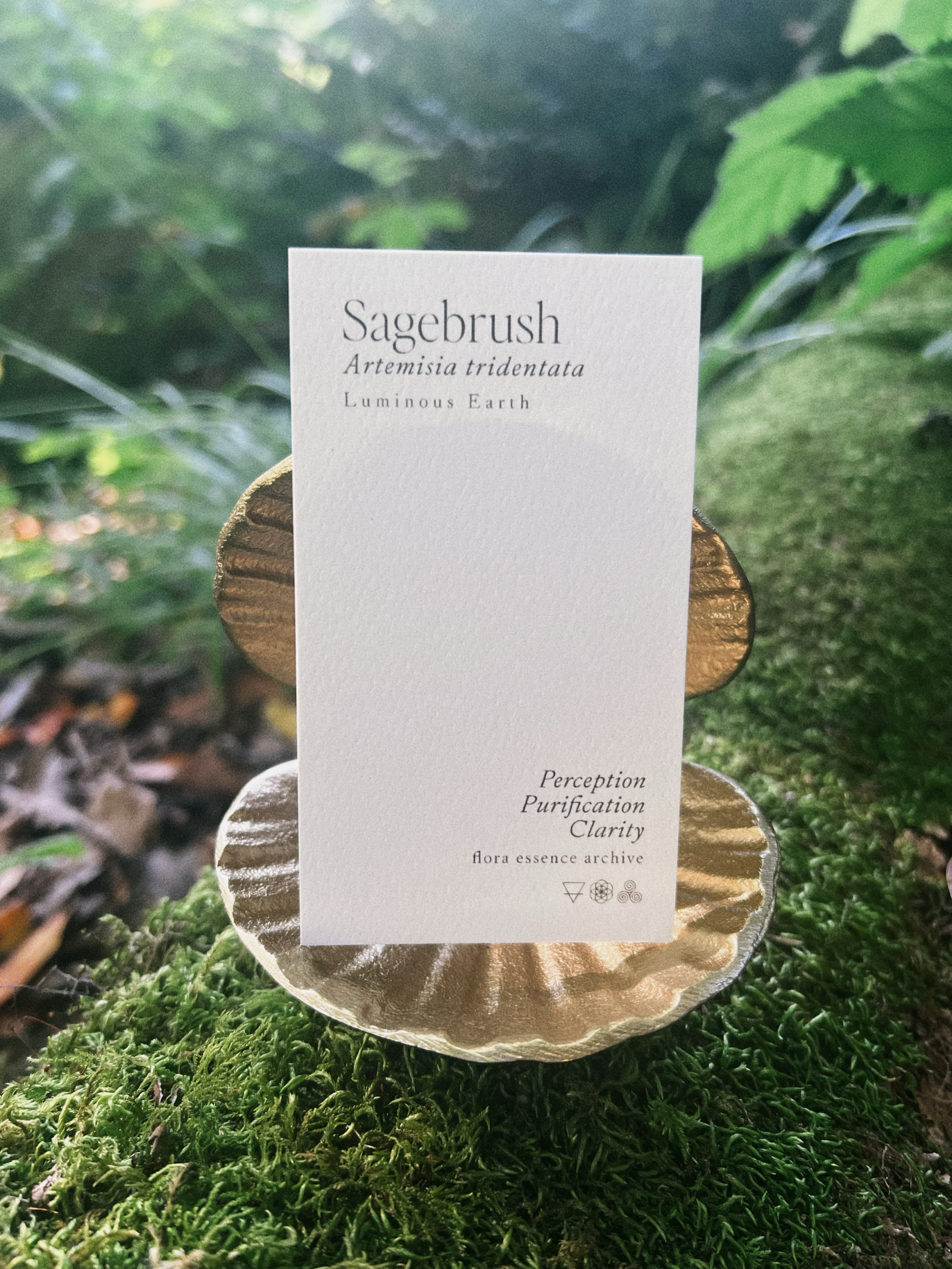 Sagebrush_card.png