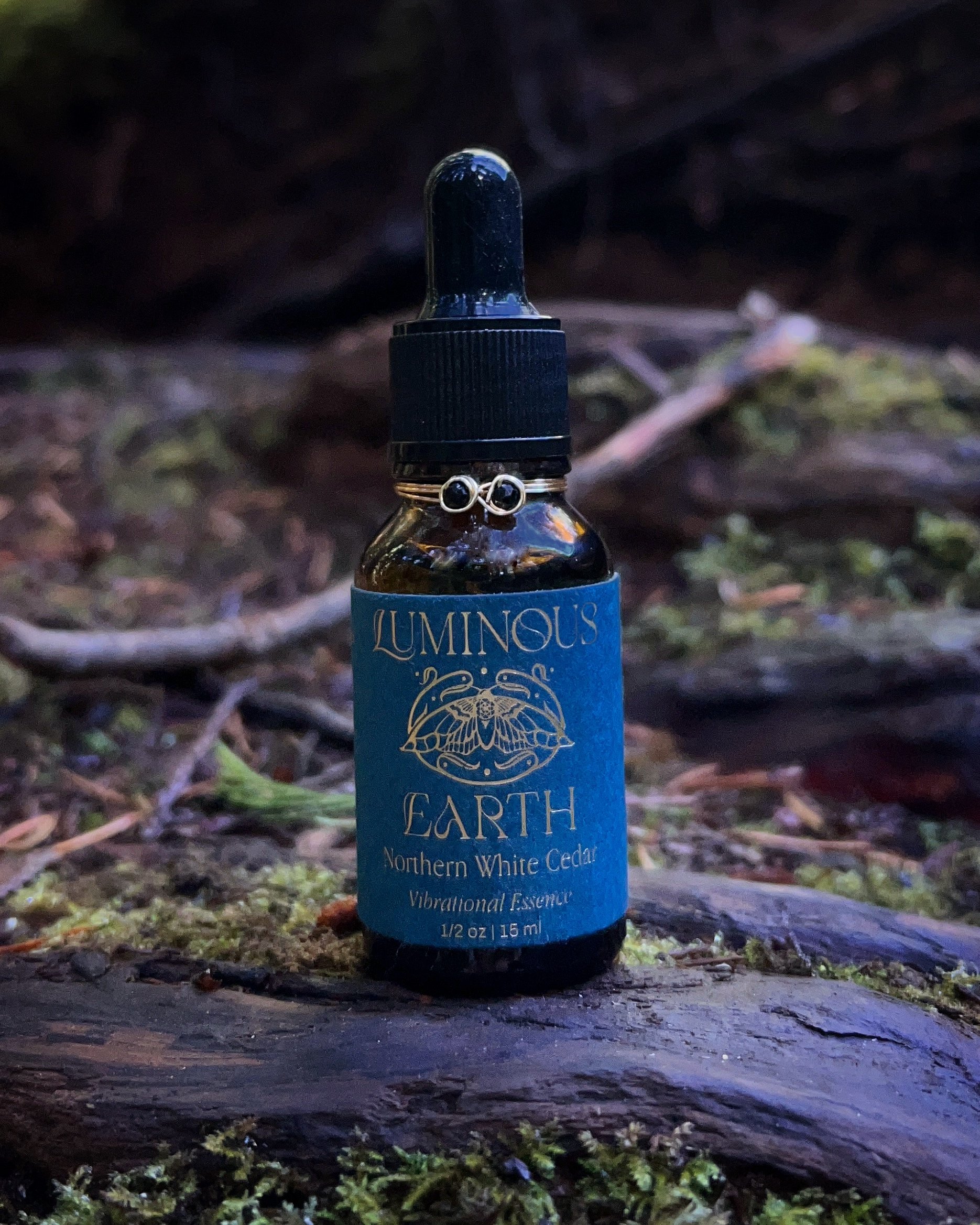 Northern White Cedar