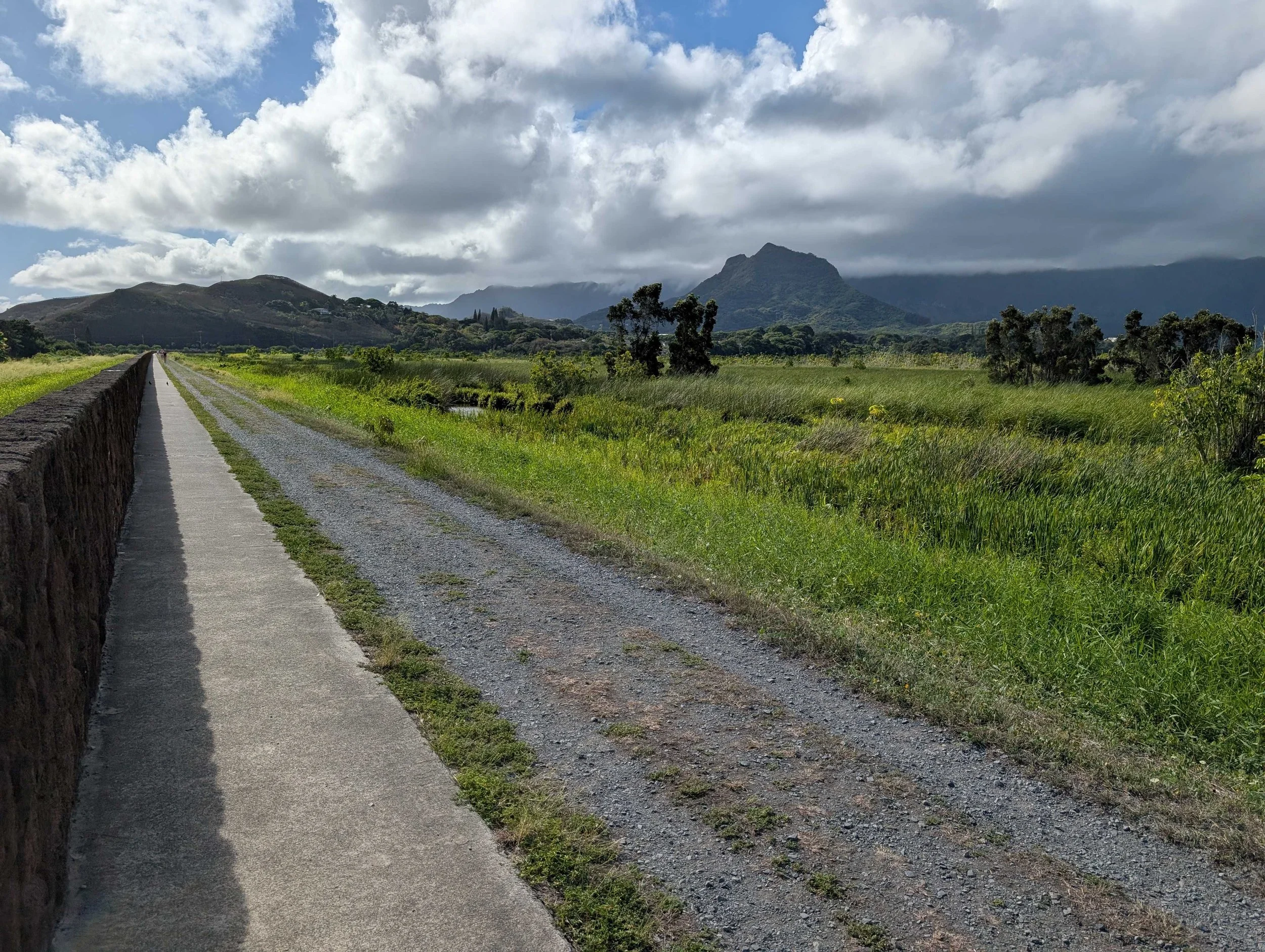 Walk with a Doc