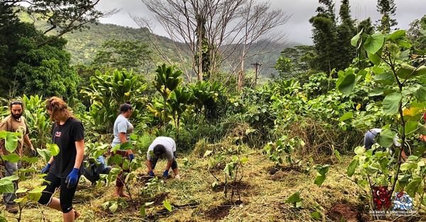 Harvey Mudd College at Ho'oulu 'Aina