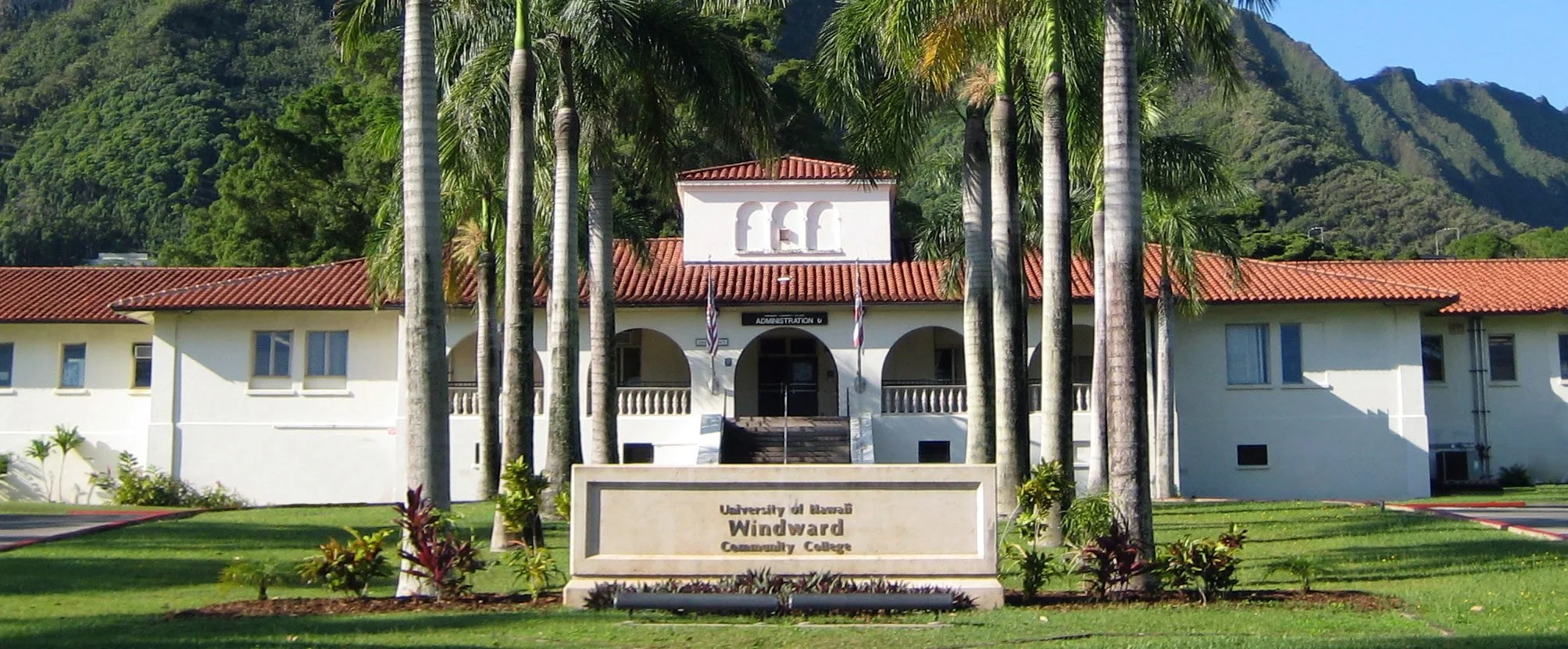 Cooking Class - Food is Medicine (Turmeric)