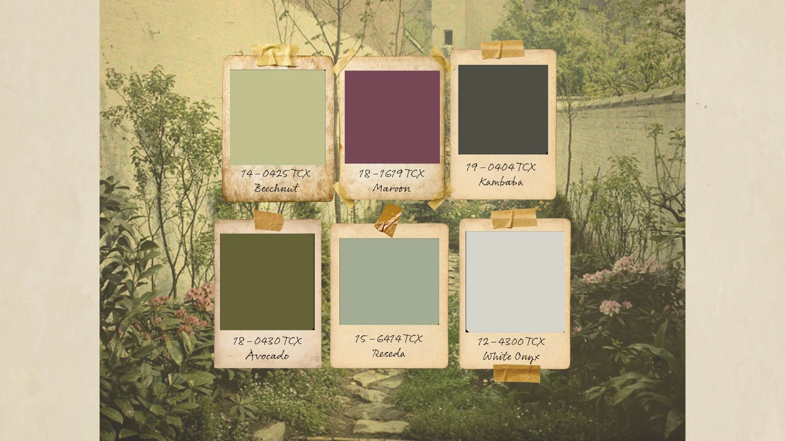 Color.jpg