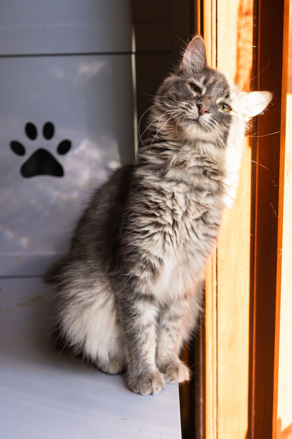 PURRR_Sept2023-23.jpg
