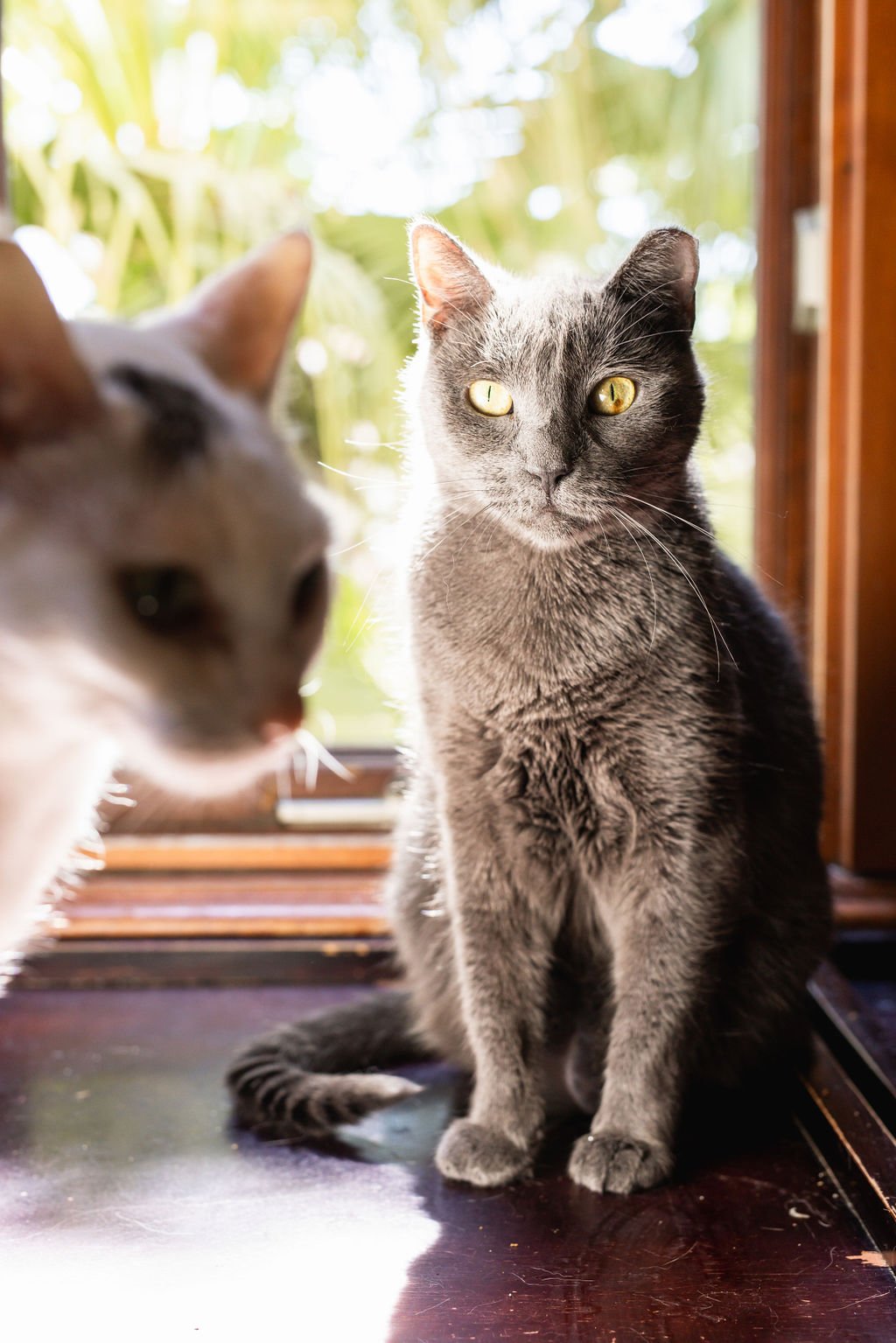 PURRR_Sept2023-45.jpg