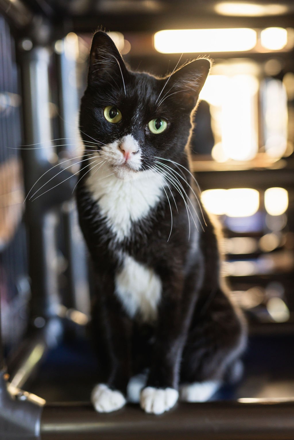 PURRR_Sept2023-17.jpg