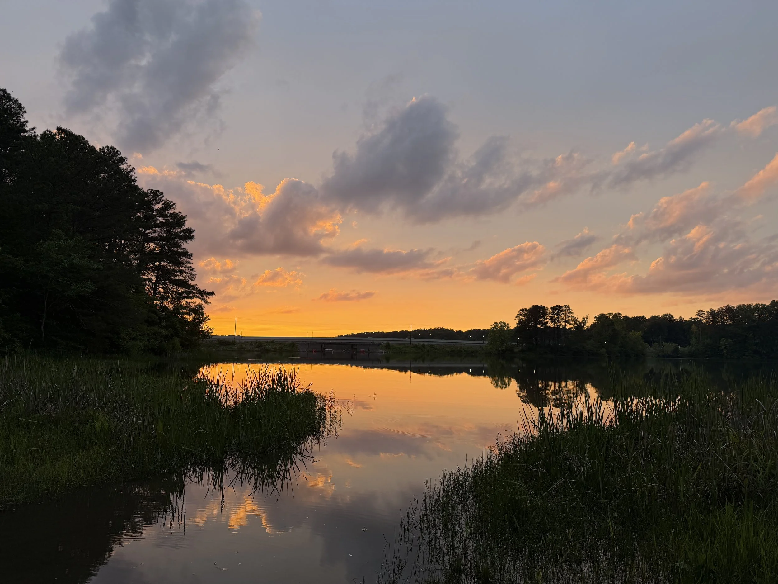 A scenic sunset over a calm body of water, with trees on the left and a bridge in the distance. The sky is partly cloudy with orange and pink hues.