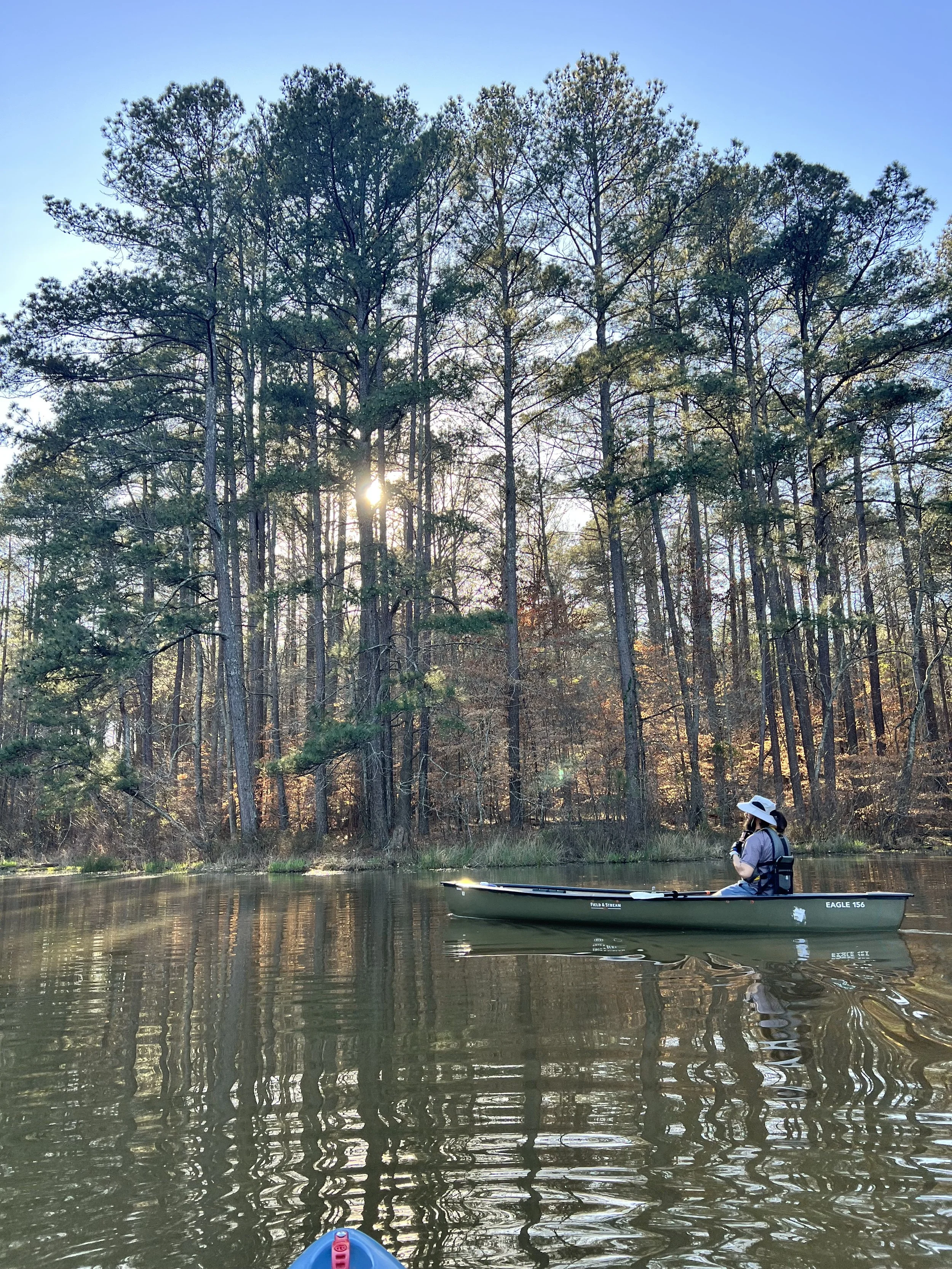 A person paddling a kayak on a calm river surrounded by tall pine trees with the sun shining through the trees.