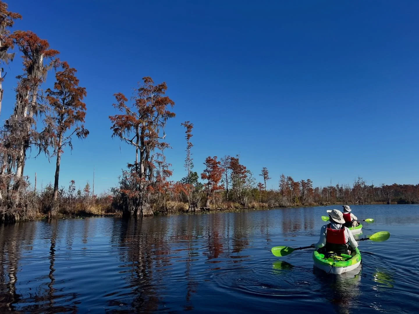 This past weekend paddling the Okefenokee felt like a deep breath. 🍂✨
The fall colors were magnificent, and we saw so much wildlife&mdash;from gators sunning to birds skimming the water. Every trip out here reminds us how alive this place is.

Matt 
