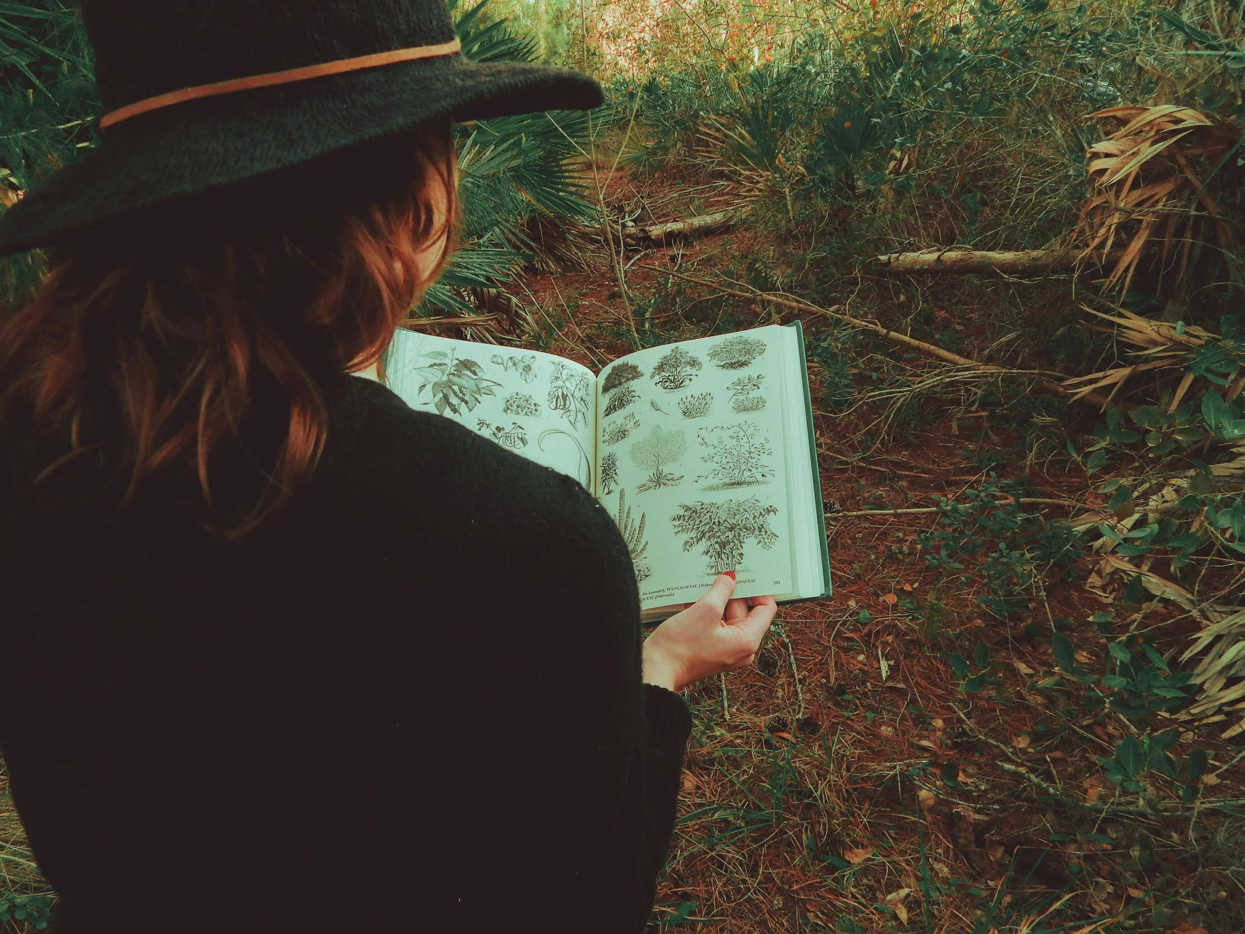 A person with long hair wearing a black hat and black sweater is sitting outdoors on a forest floor, holding an open botanical book with illustrations of plants.