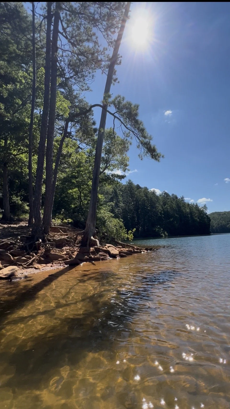 Sun shining over a lakeshore with tall trees and rocky shoreline, water reflecting sunlight, in a natural outdoor setting.