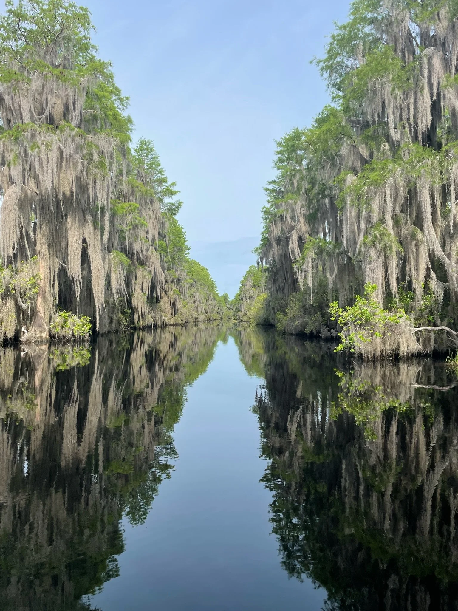 Okefenokee tour with Driftwood Paddling Tours