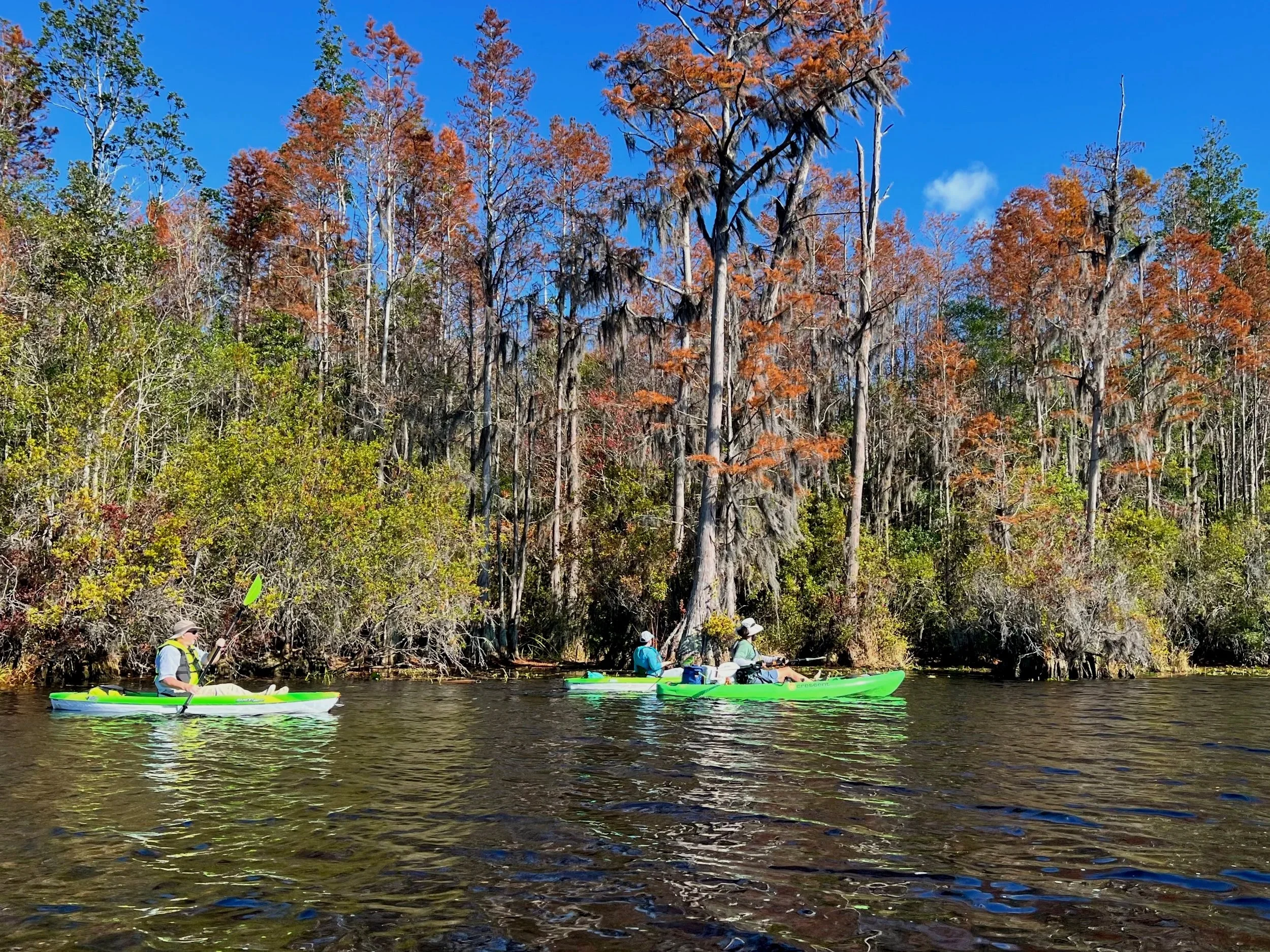 Three people kayaking on the Okefenokee during fall