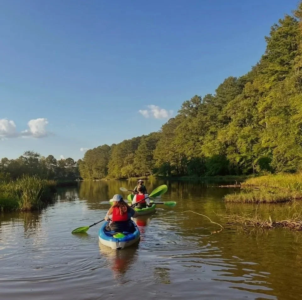 Three people kayaking on a calm river surrounded by green trees and a clear blue sky.
